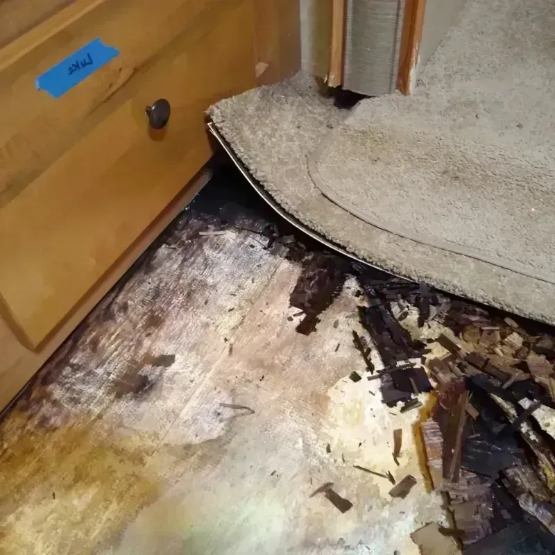 Best Wood Floor Water Damage Service in Reidsville, NC